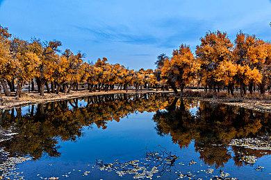 《马力欧+疯狂兔子星耀之愿》外媒评测整合 一致好评
